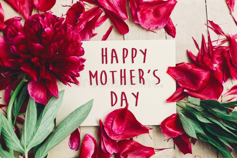 Happy mother`s day text sign on craft paper card beautiful red p royalty free stock photos