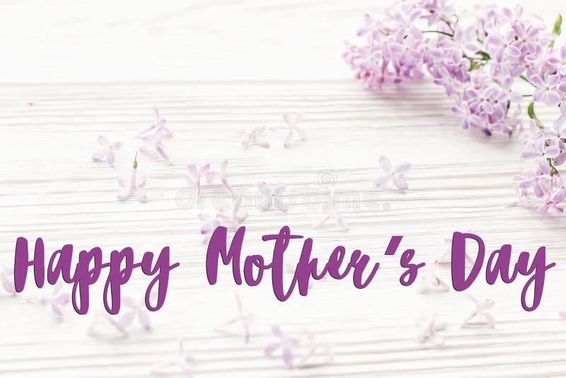 Happy mother`s day text sign. greeting card. gentle pink lilac f stock photo