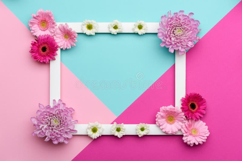 Happy Mother`s Day, Women`s Day, Valentin`s Day or Birthday Pastel Candy Colours Background. Floral flat lay minimalism geometric patterns greeting card. Happy Mother`s Day, Women`s Day, Valentin`s Day or Birthday Pastel Candy Colours Background. Floral flat lay minimalism geometric patterns greeting card.