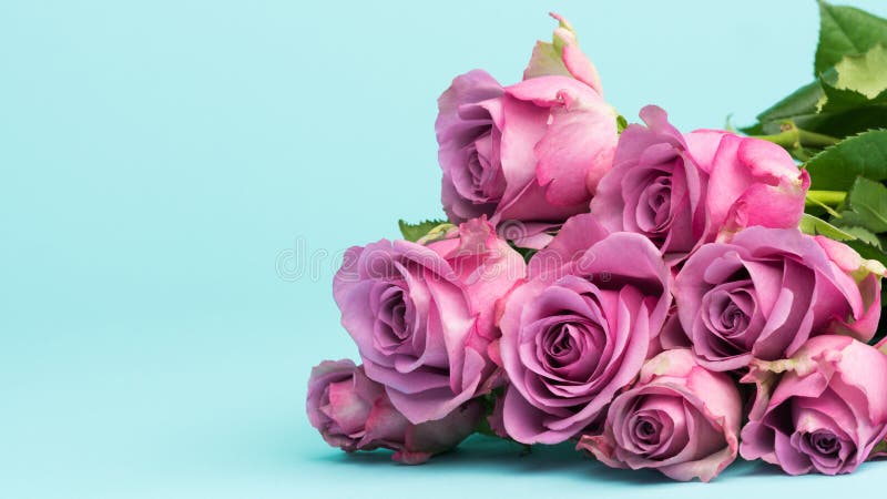 Happy Mother`s Day, Women`s Day, Valentine`s Day or Birthday Background. Greeting card with beautiful fresh pink roses and copy space.