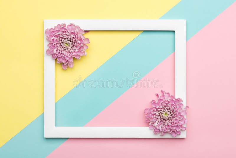 Happy Mother`s Day, Women`s Day, Valentine`s Day or Birthday Pastel Candy Colours Background. Floral flat lay.