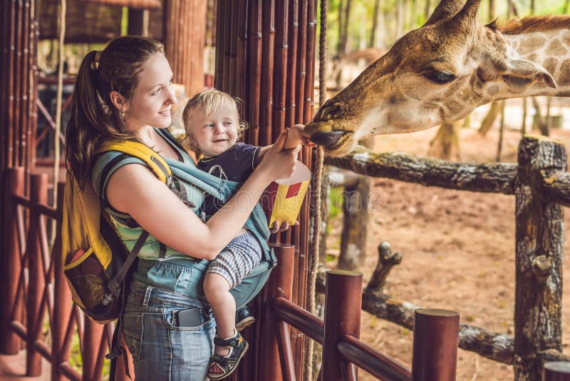 feed animals safari park near me feed animals safari park near me