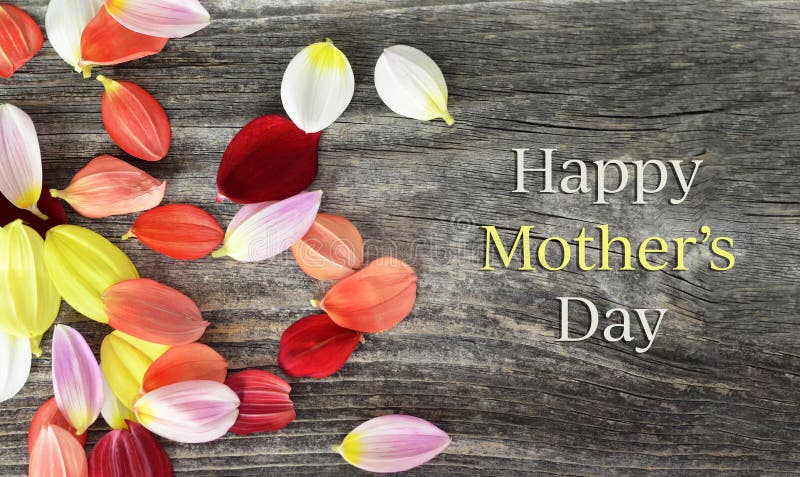 Happy Mothers Day card with flower petals on wooden background royalty free stock photos Happy Mothers Day card with flower petals on wooden background royalty free stock photos