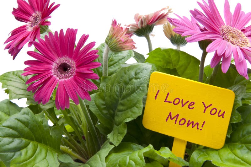 Happy Mothers Day with Flowers