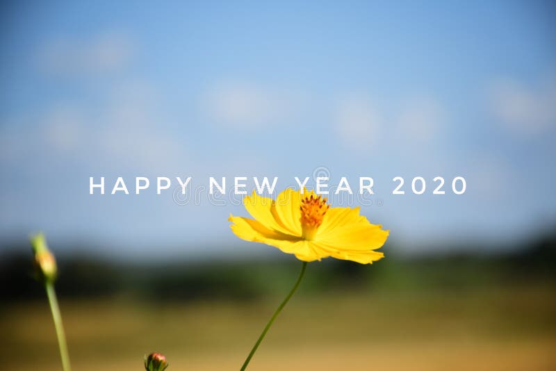 Happy New Year 2020. Card stock images