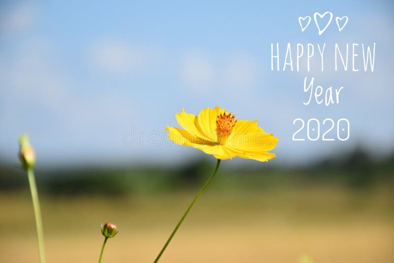 Happy New Year 2020. Card royalty free stock image