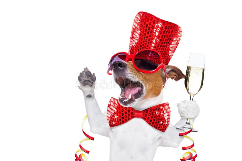 Happy new year dog celberation