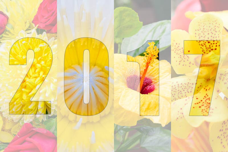 Happy New Year 2017 in Flower Theme royalty free stock image