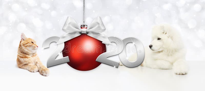 2020 happy new year number text, dog puppy and cat pet with red christmas ball and silver ribbon bow isolated on blurred lights