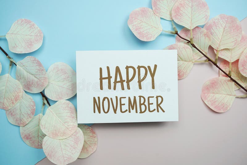 Happy November Text Message with Artificial Leave on Blue and Pink