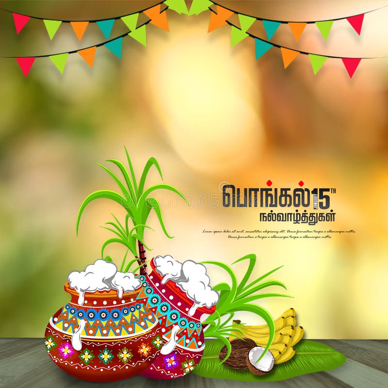 Happy Pongal Background Template Design - Pongal Festival Background  Template and Happy Pongal Translate Tamil Text Stock Illustration -  Illustration of decoration, agriculture: 206438109