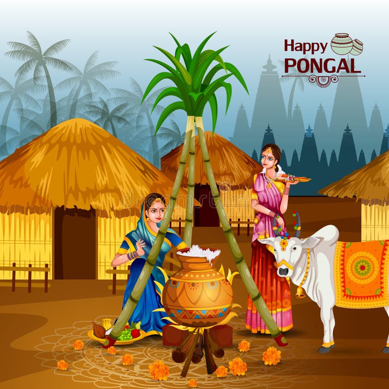 Happy Pongal Holiday Harvest Festival Of Tamil Nadu South India Greeting  Background Stock Photo, Picture and Royalty Free Image. Image 90908755.
