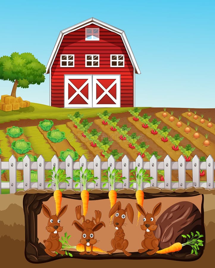 A Happy Rabbit Family at Farm stock illustration A Happy Rabbit Family at Farm stock illustration