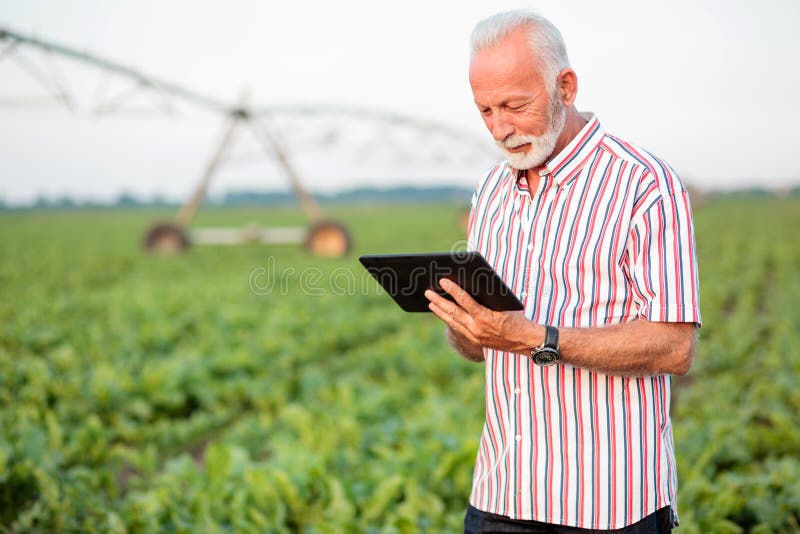 Happy and satisfied senior agronomist or farmer using a tablet in soybean field royalty free stock photo Happy and satisfied senior agronomist or farmer using a tablet in soybean field royalty free stock photo