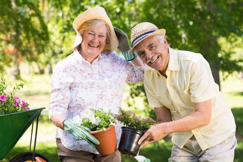 Happy senior couple gardening