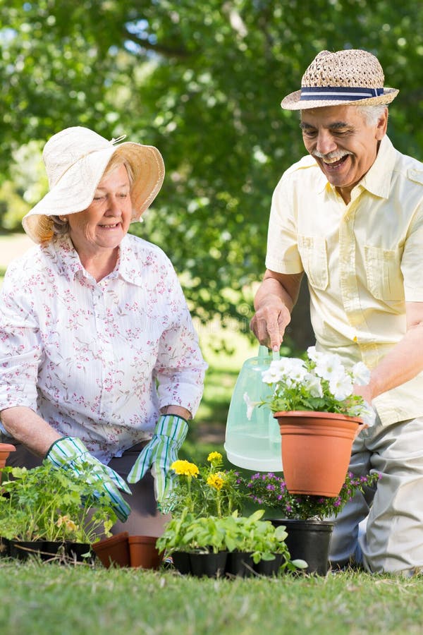 Happy Senior Couple Gardening Stock Photo - Image of couple, caucasian ...