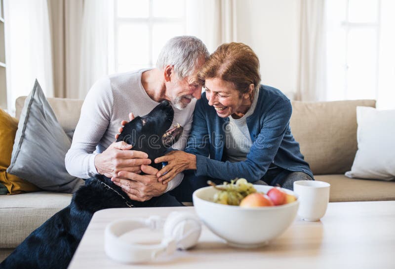 A happy senior couple sitting on a sofa indoors with a pet dog at home.