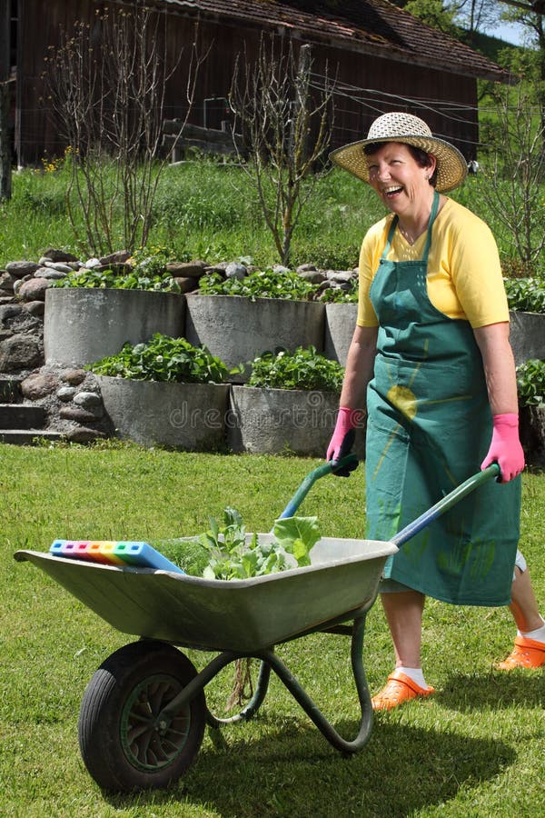 Happy senior working in her garden stock image Happy senior working in her garden stock image
