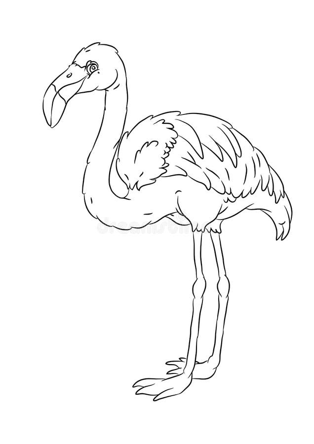 Happy smiling cartoon standing flamingo coloring page