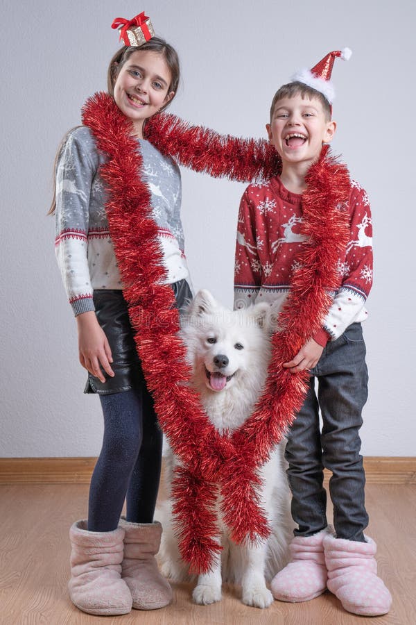 Happy smiling family, brother and sister in santa sweaters and hats, standing togather with their samoyed dog, wrapped royalty free stock image Happy smiling family, brother and sister in santa sweaters and hats, standing togather with their samoyed dog, wrapped royalty free stock image