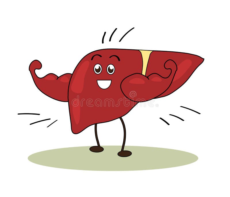 Happy Strong Liver on a White Background. Cartoon Stock Vector - Illustration of concept, muscles: 174040897 Happy Strong Liver on a White Background. Cartoon Stock Vector - Illustration of concept, muscles: 174040897