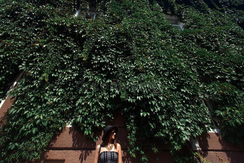 happy stylish woman hipster standing at green leaves wall building in sunny city, summer travel concept royalty free stock photos happy stylish woman hipster standing at green leaves wall building in sunny city, summer travel concept royalty free stock photos