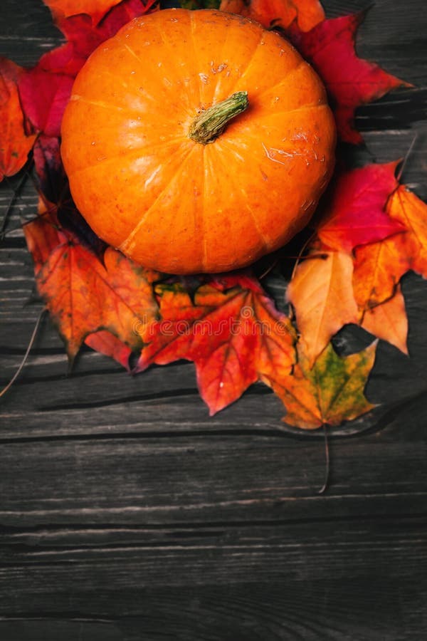 Happy Thanksgiving background with pumpkins and autumn leaves