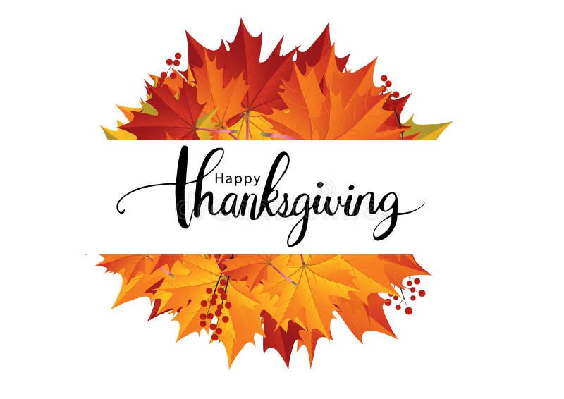 Happy Thanksgiving Text Calligraphy Vector illustration