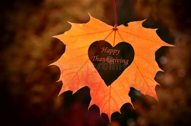 Happy Thanksgiving - text in heart, background dry leaves. Happy Thanksgiving - text in heart, background dry leaves.