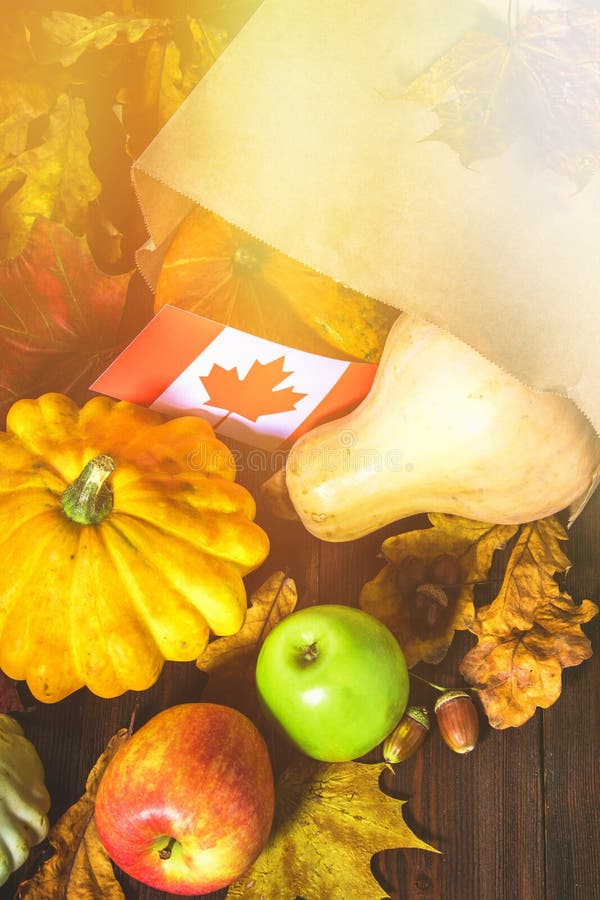 Happy Thanksgiving Day in Canada. Vegetables, Pumpkins, Squash, Apples ...