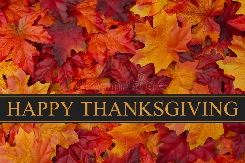 Happy Thanksgiving Greeting, Fall Leaves Background and text Happy Thanksgiving