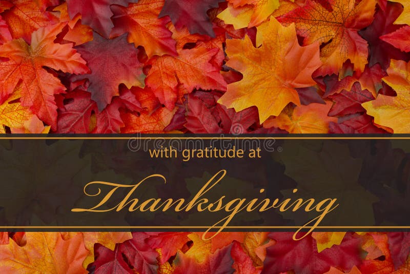 Happy Thanksgiving Greeting, Fall Leaves Background and text with gratitude at Thanksgiving