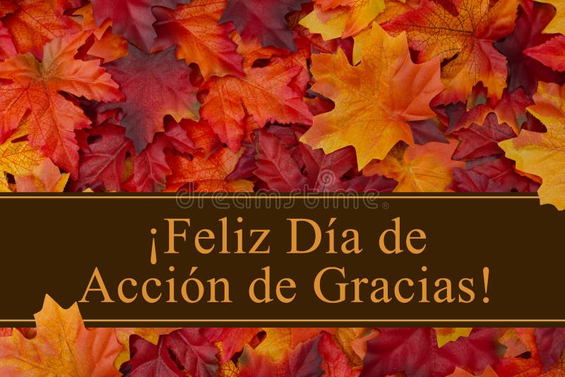 Happy Thanksgiving Greeting in Spanish royalty free stock image Happy Thanksgiving Greeting in Spanish royalty free stock image