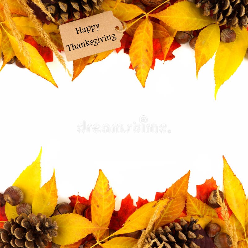 Happy Thanksgiving tag with colorful leaf double border over white