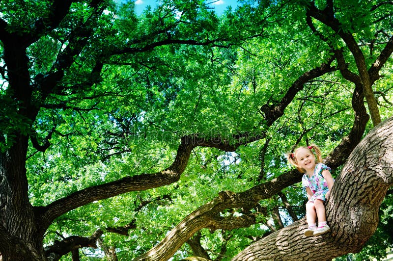 Happy toddler girl sitting on branch huge tree