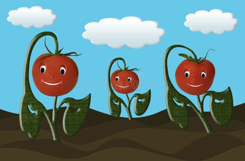 Happy Red Tomatoes stock illustration. Illustration of plant 153414334