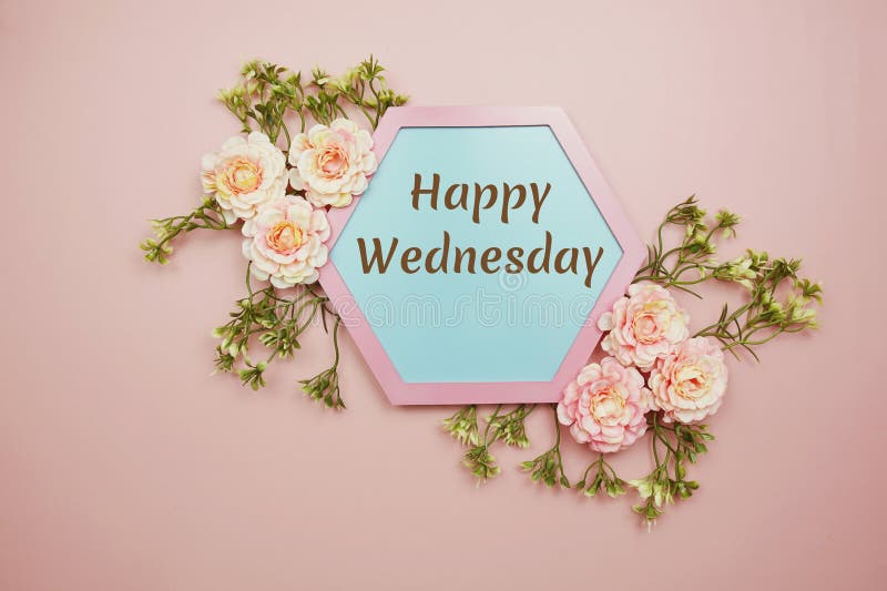 1,100+ Happy Wednesday Stock Photos, Pictures & Royalty-Free