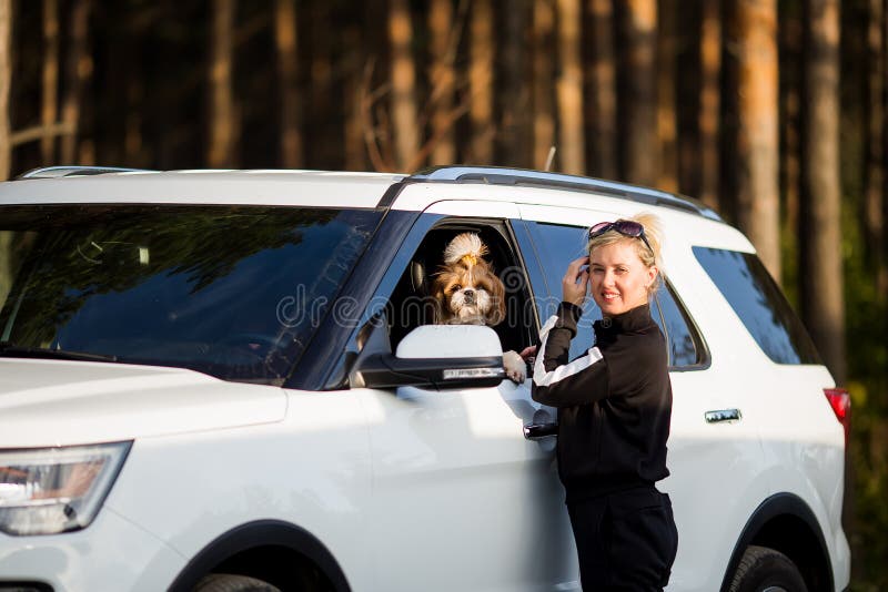 Happy woman and dog in car on summer vacation. Dog and human friendship and travel concept. Relax and enjoy the tranquility of royalty free stock photo Happy woman and dog in car on summer vacation. Dog and human friendship and travel concept. Relax and enjoy the tranquility of royalty free stock photo