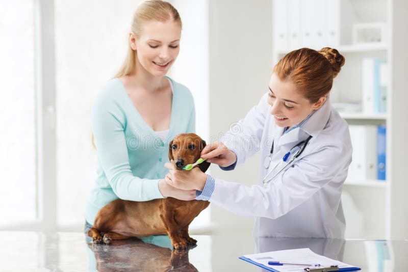 Happy woman with dog and doctor at vet clinic royalty free stock image Happy woman with dog and doctor at vet clinic royalty free stock image