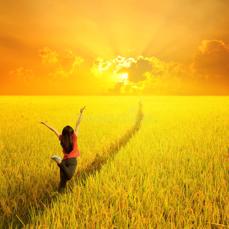 Happy woman jumping in yellow rice field and sunset