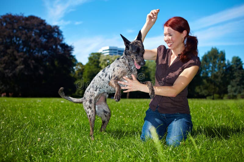 Happy woman playing with her dog stock images