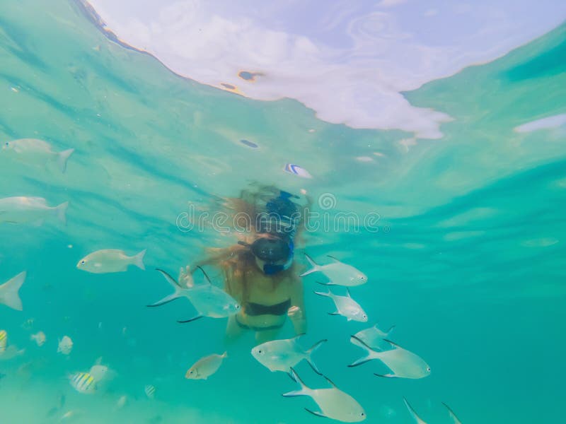 Happy woman in snorkeling mask dive underwater with tropical fishes in coral reef sea pool. Travel lifestyle, water stock images Happy woman in snorkeling mask dive underwater with tropical fishes in coral reef sea pool. Travel lifestyle, water stock images
