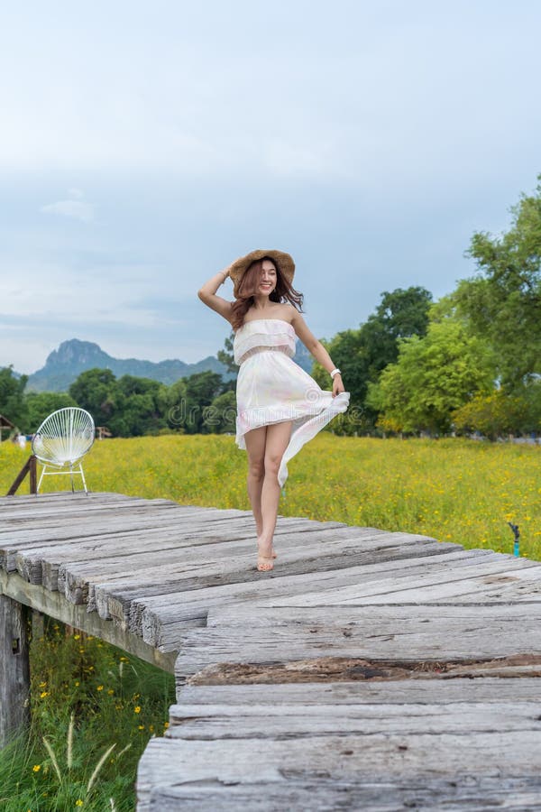 woman standing on wooden bridge with yellow cosmos flower field royalty free stock photo woman standing on wooden bridge with yellow cosmos flower field royalty free stock photo