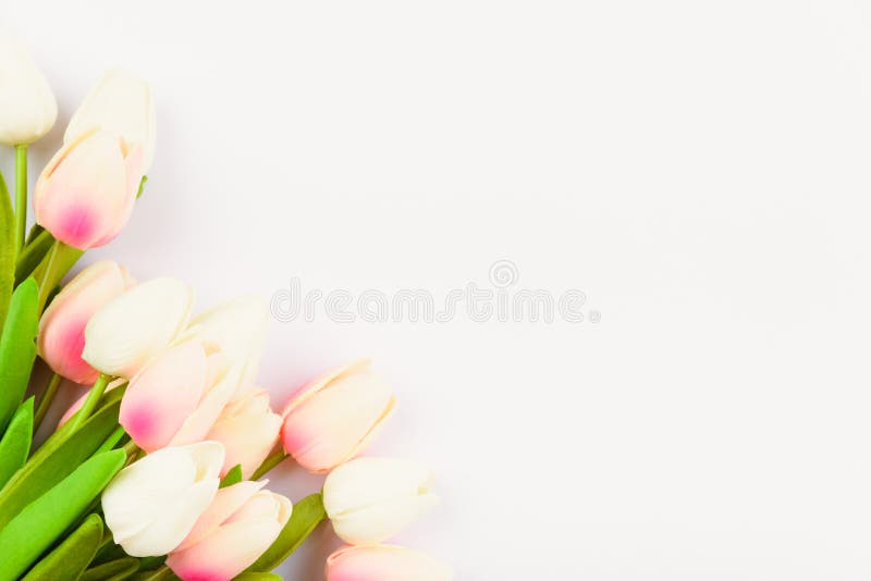 Happy Women`s Day, Mother`s Day and Valentine`s Day concept. top view flat lay Tulip flower
