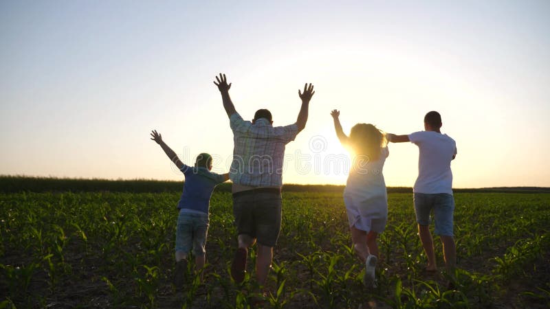 Happy young parents with kids run through cornfield holding hands of each other at sunset. Mom and dad with two children