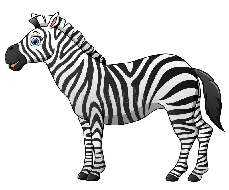Happy Zebra Cartoon Isolated On White Background Stock ...
