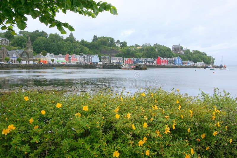 Waterfront Houses on Scottish Island Stock Image Image of tobermory