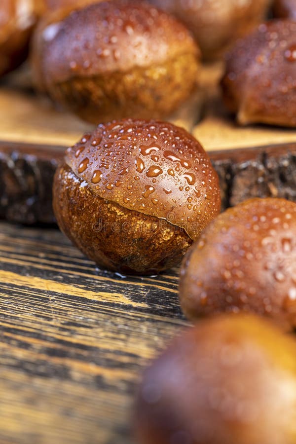 A hard edible chestnut fruit in a brown shell covered with stock image