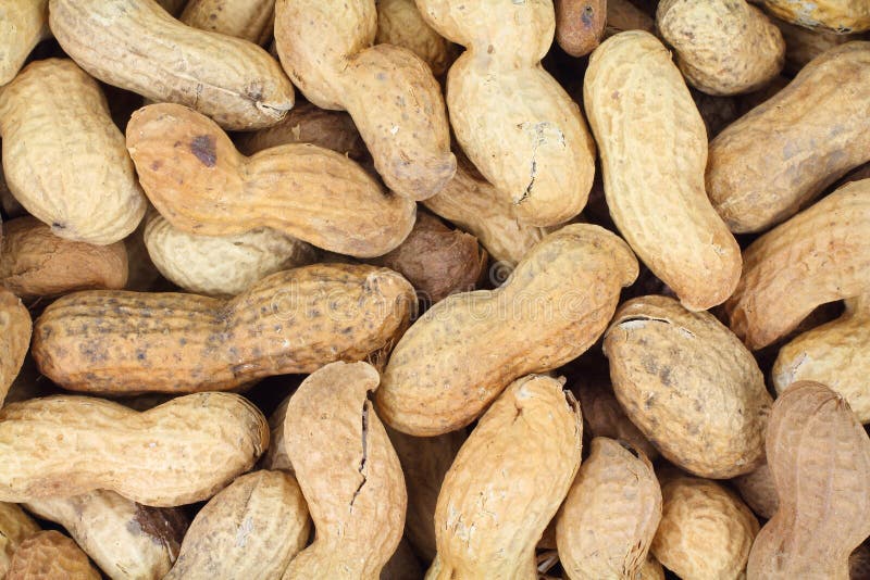 Hard Shelled Peanuts Close View Stock Image Image of peanuts, snack