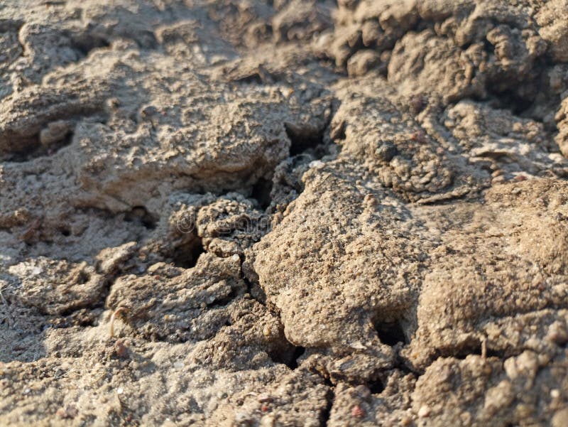 Hard Soil Farm Plow stock photo. Image of rock, sand 243371992